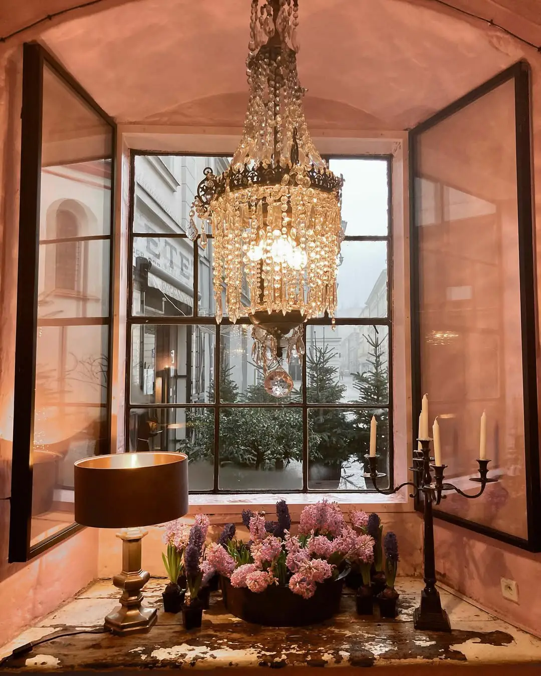 Lustre, fleurs et fenêtre du Camelot Cafe